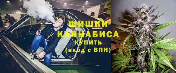 гидра Белоозёрский