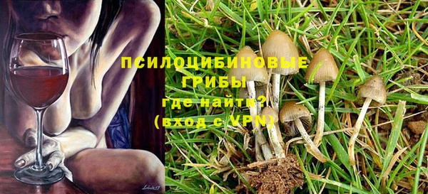 синтетический гашиш Белокуриха